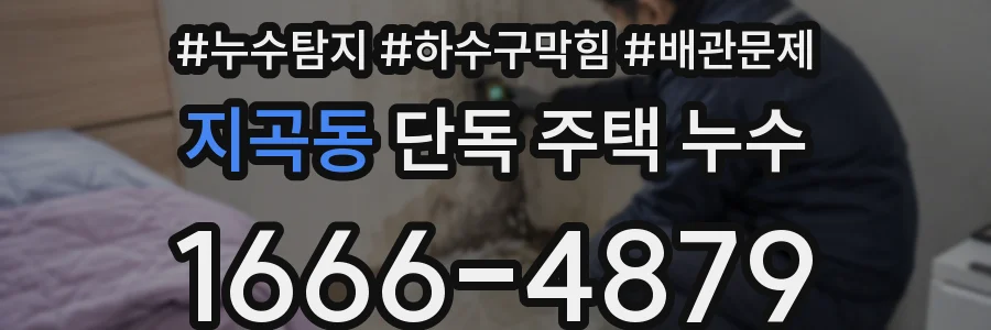 지곡동 단독 주택 누수