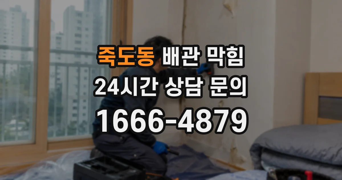 죽도동 배관 막힘