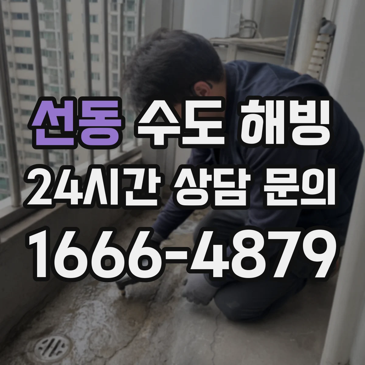 선동 수도 해빙