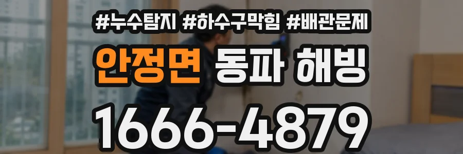 안정면 동파 해빙