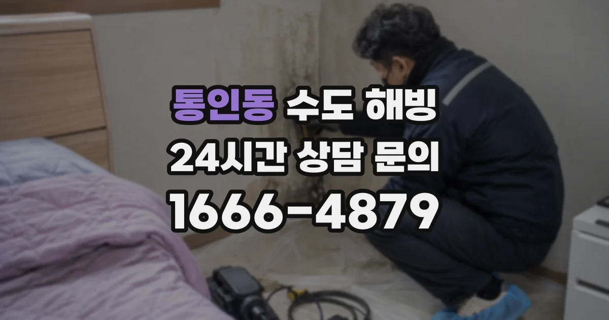 통인동 수도 해빙
