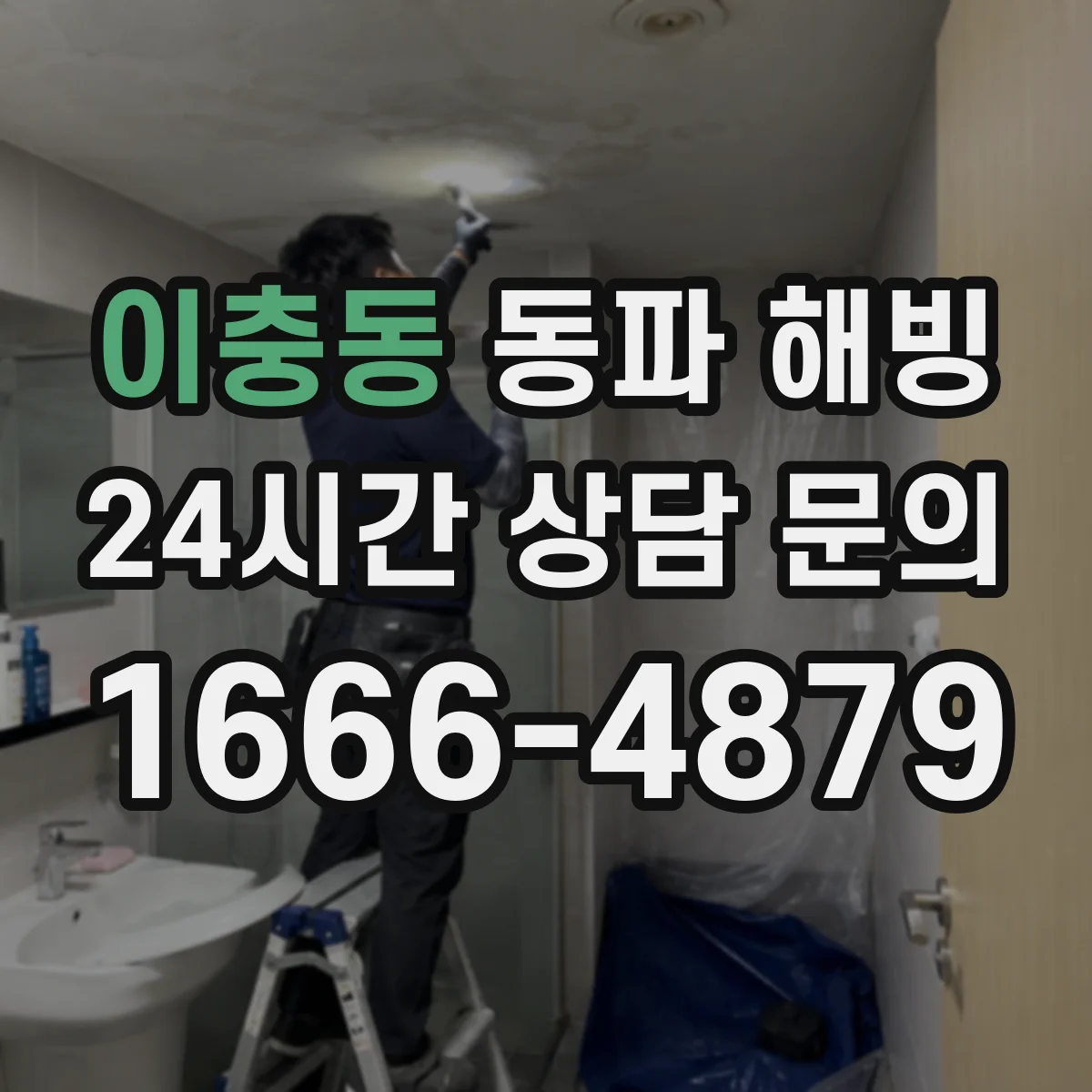 이충동 동파 해빙