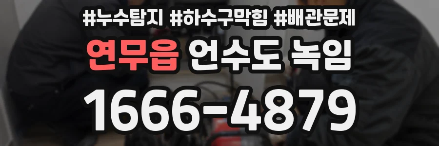 연무읍 언수도 녹임