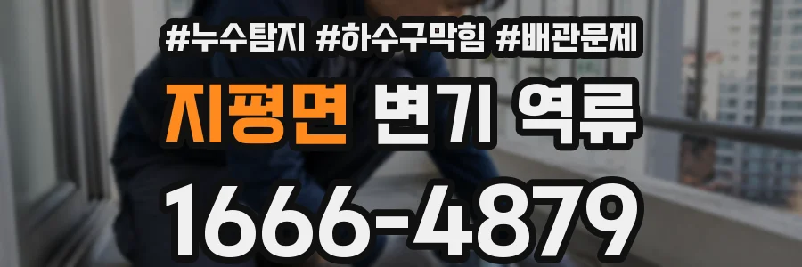 지평면 변기 역류