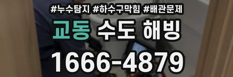 교동 수도 해빙