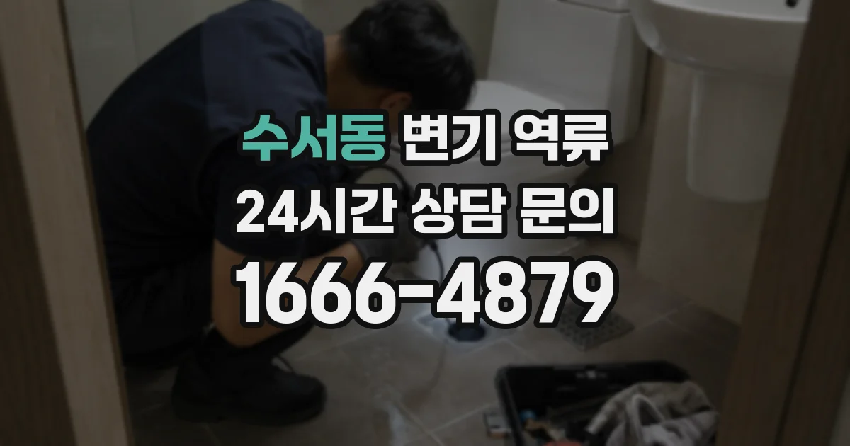 수서동 변기 역류