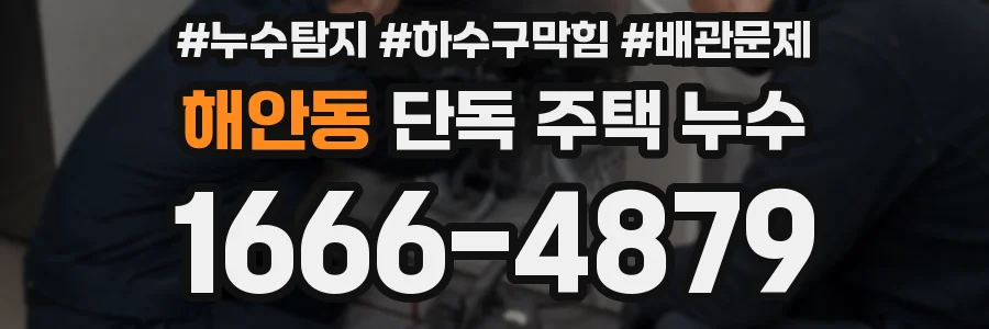 해안동 단독 주택 누수