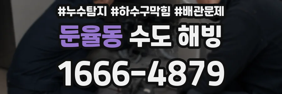 둔율동 수도 해빙