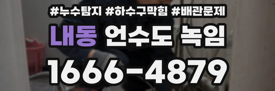 내동 언수도 녹임