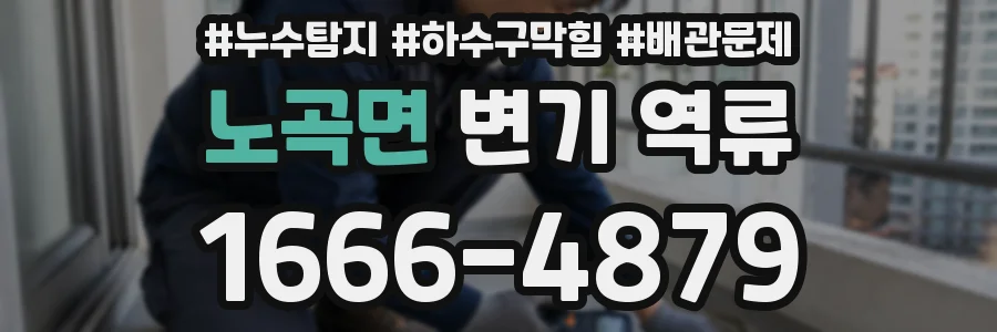 노곡면 변기 역류