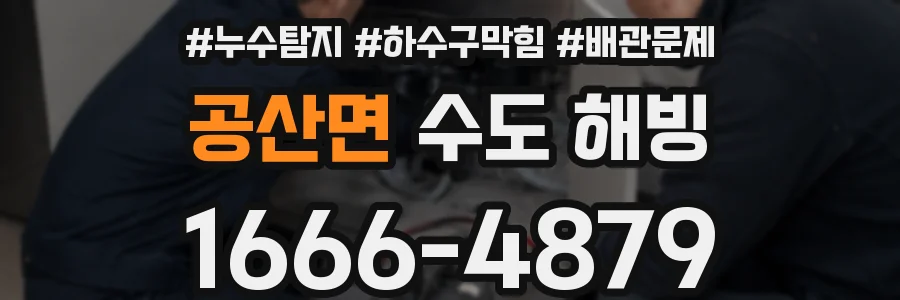 공산면 수도 해빙