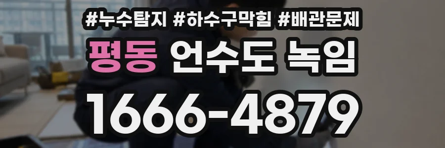 평동 언수도 녹임