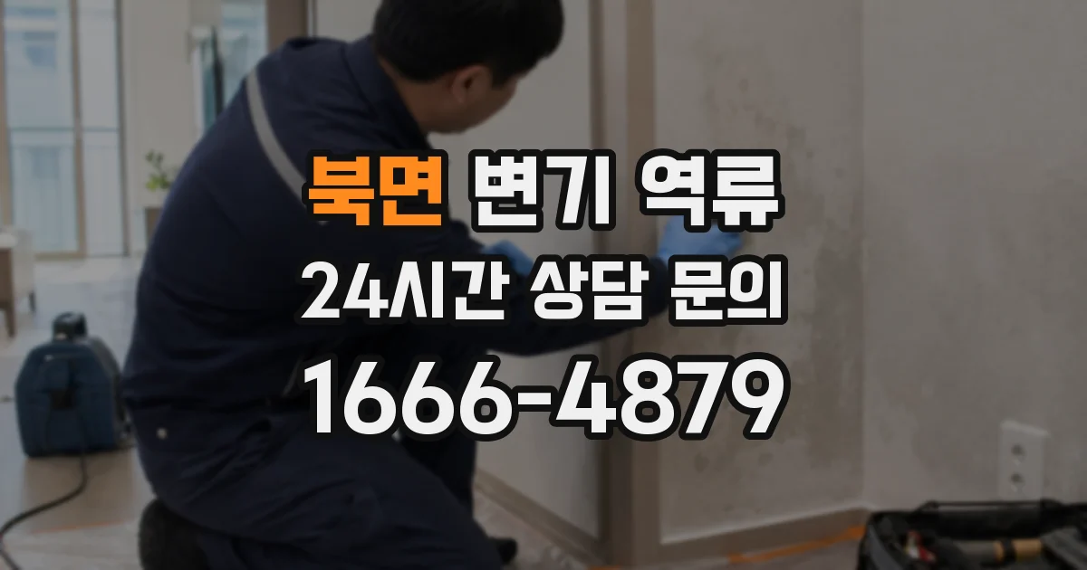 북면 변기 역류