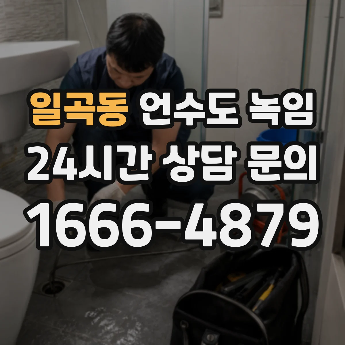 일곡동 언수도 녹임