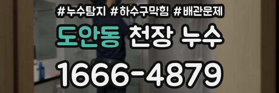 도안동 천장 누수
