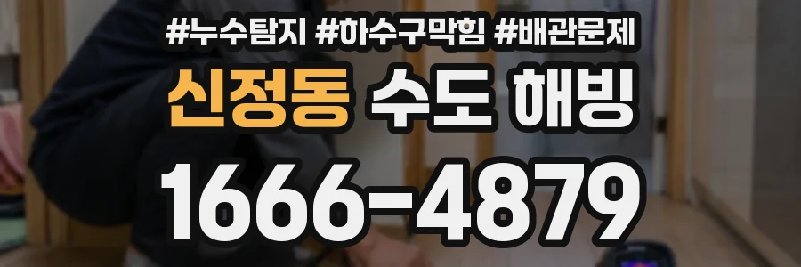 신정동 수도 해빙
