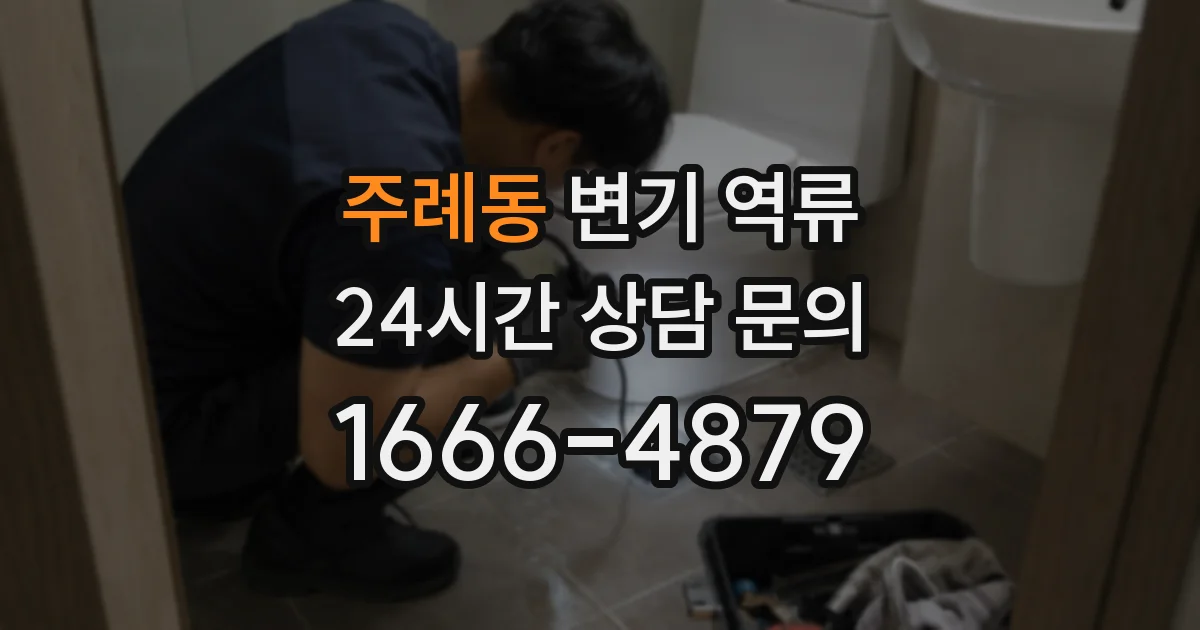 주례동 변기 역류
