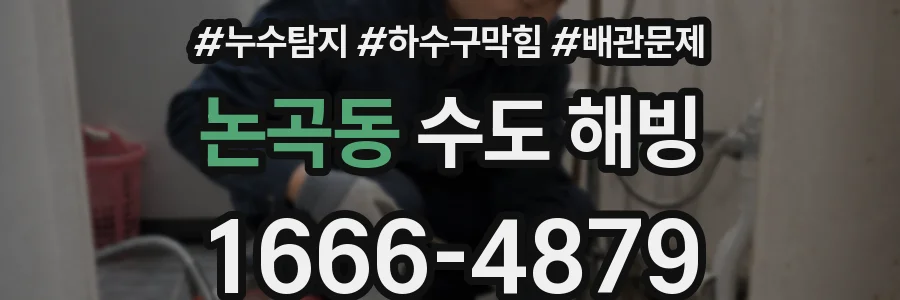논곡동 수도 해빙