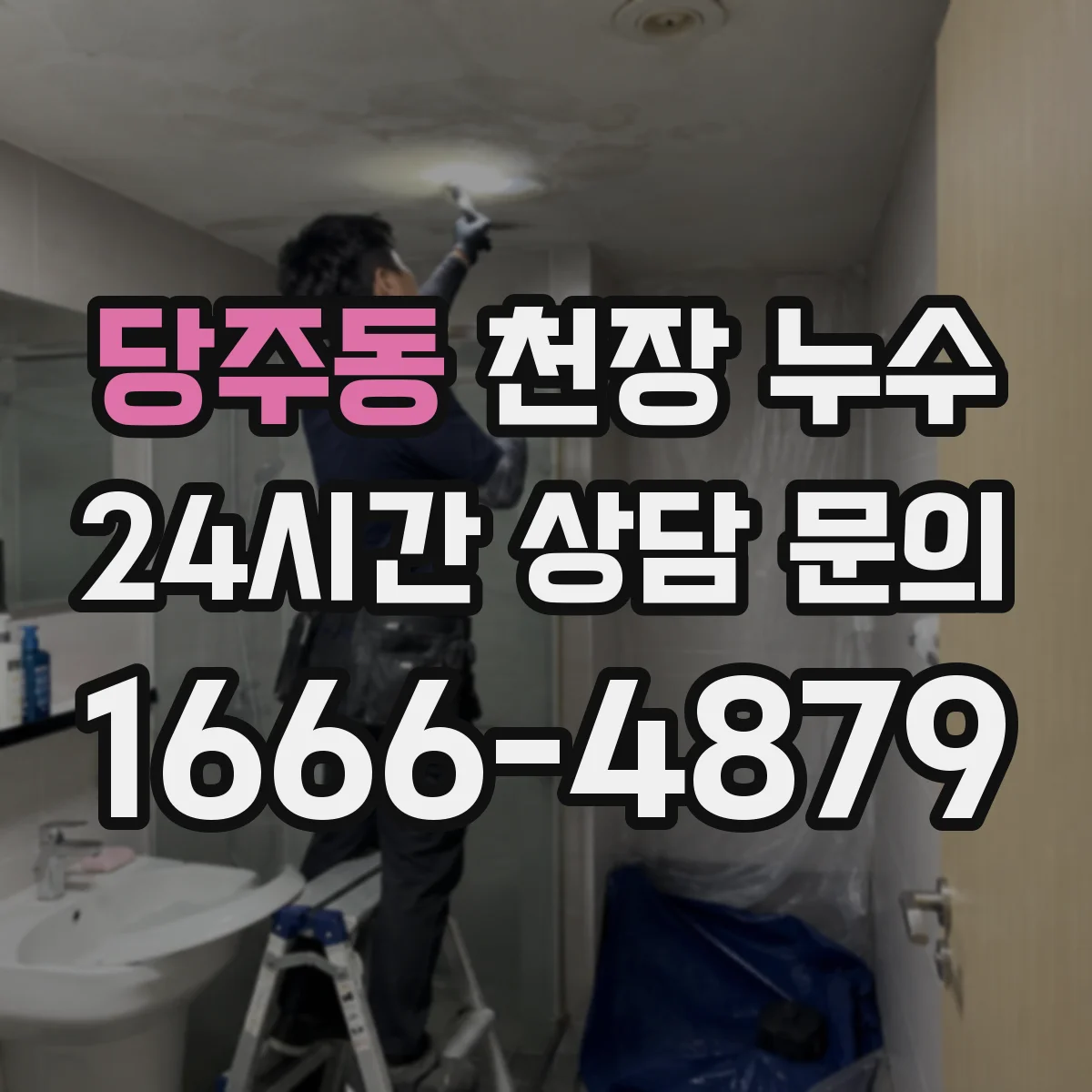당주동 천장 누수