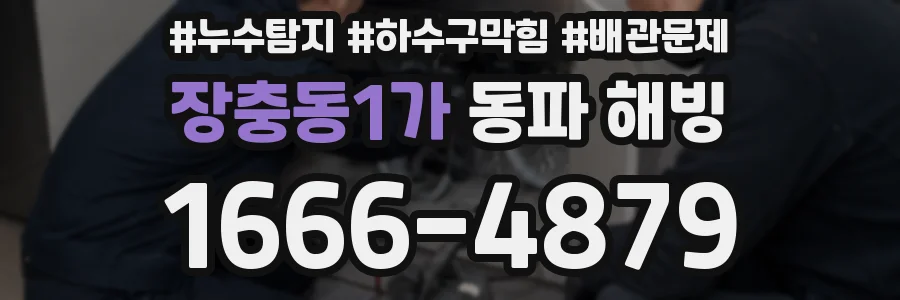 장충동1가 동파 해빙