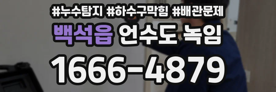 백석읍 언수도 녹임