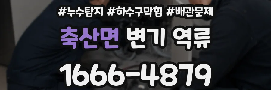 축산면 변기 역류