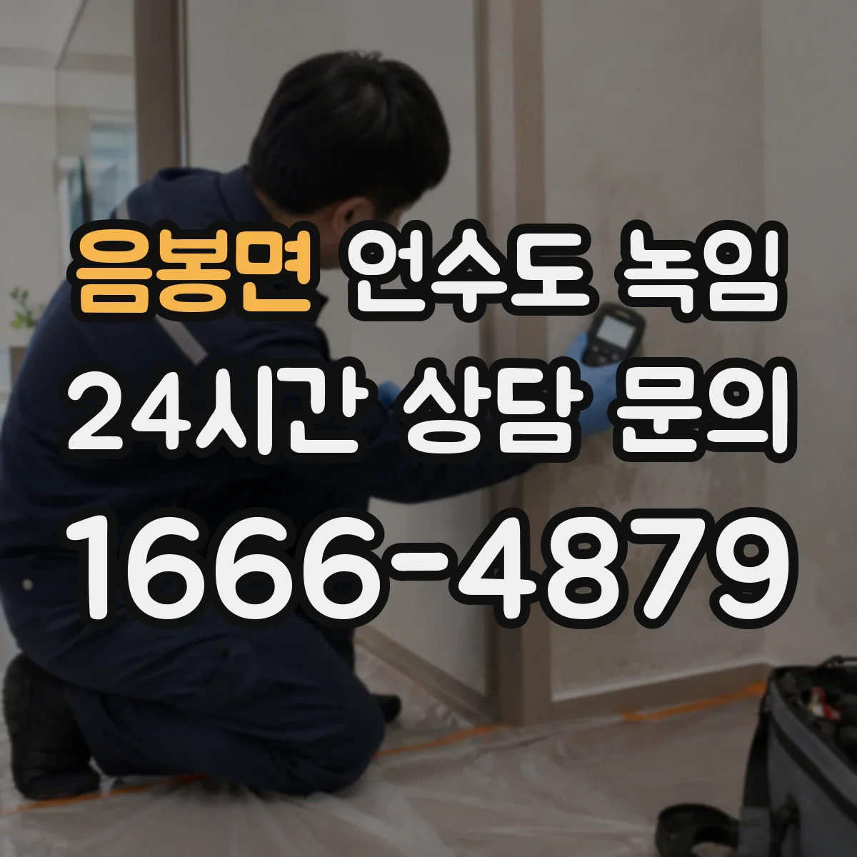 음봉면 언수도 녹임