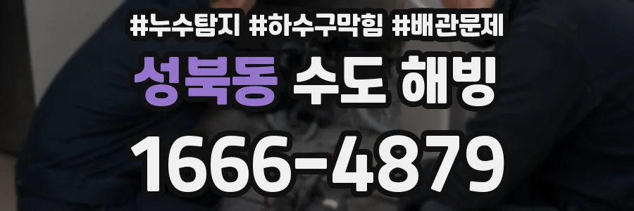 성북동 수도 해빙