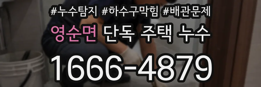 영순면 단독 주택 누수
