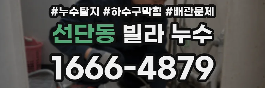 선단동 빌라 누수