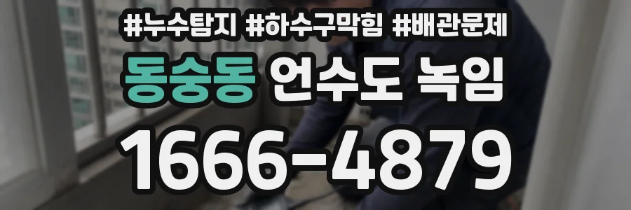 동숭동 언수도 녹임