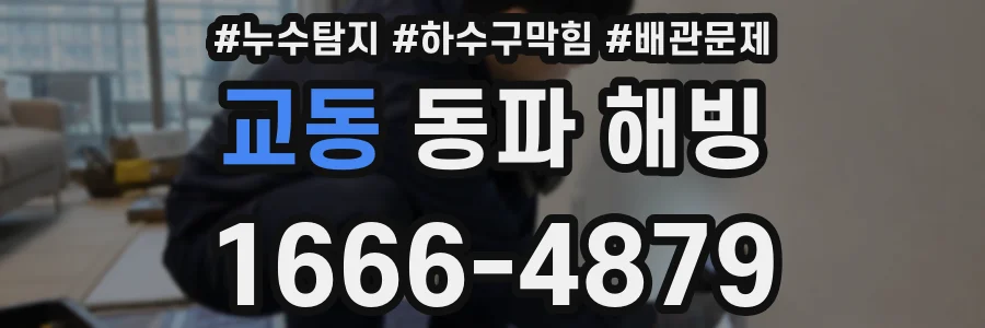 교동 동파 해빙