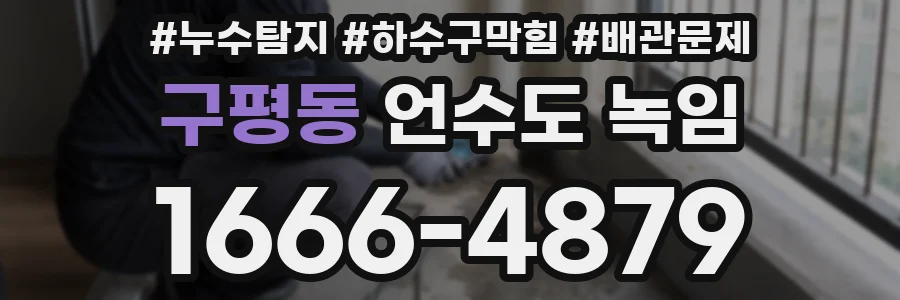 구평동 언수도 녹임