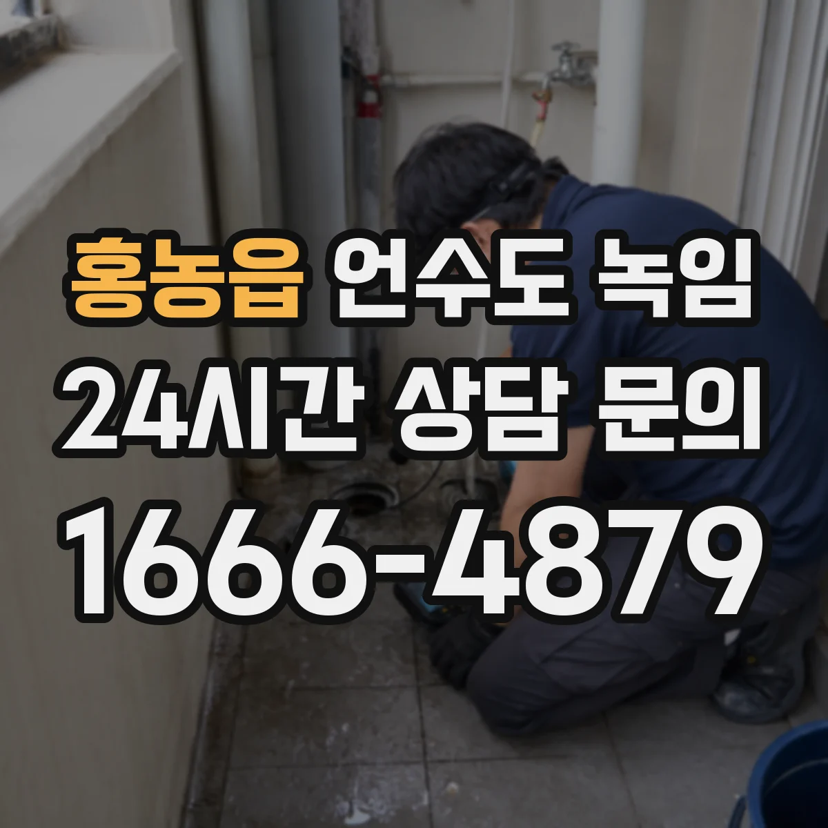 홍농읍 언수도 녹임