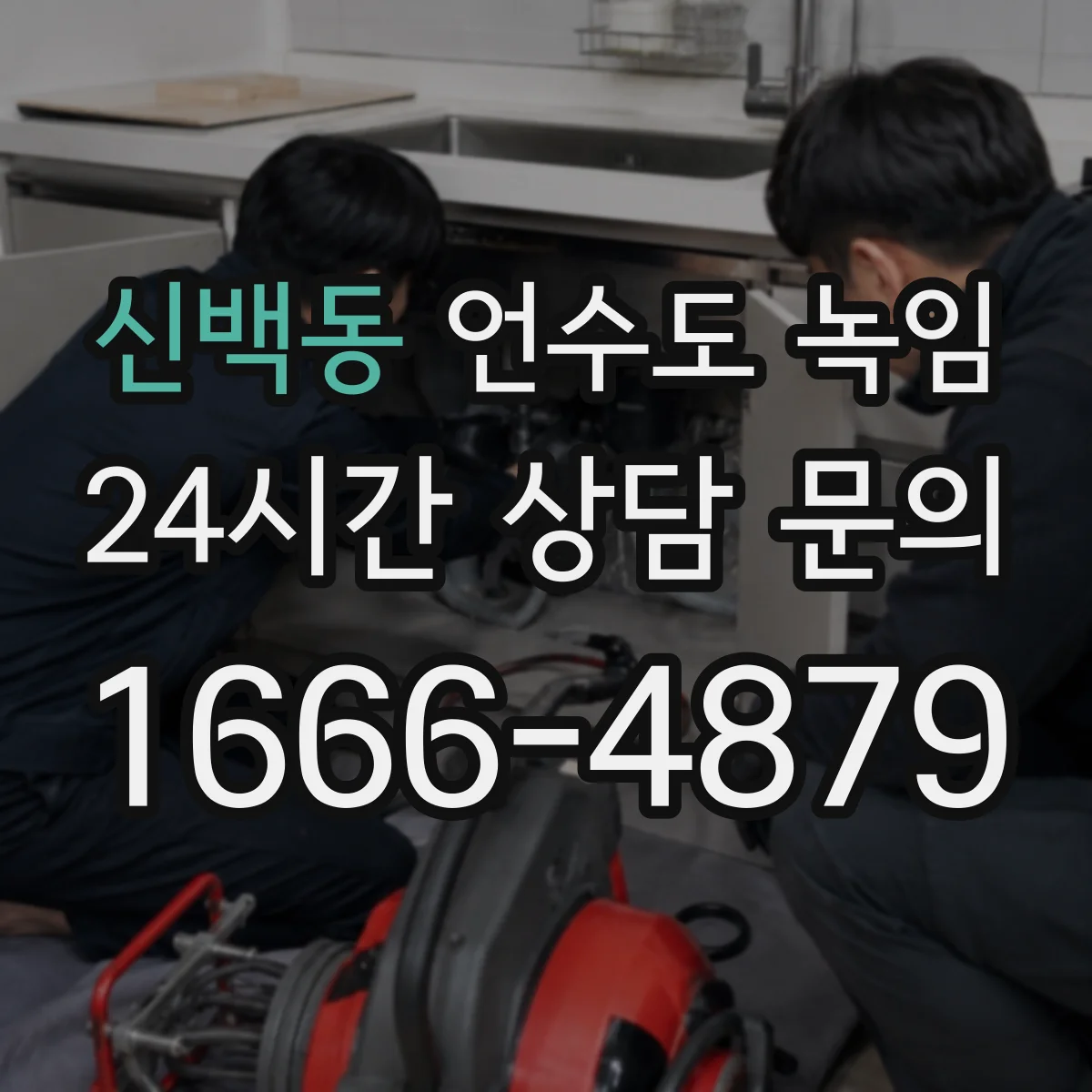 신백동 언수도 녹임