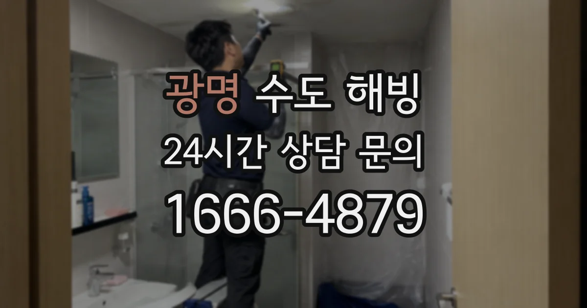 광명 수도 해빙