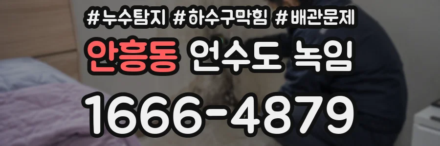 안흥동 언수도 녹임
