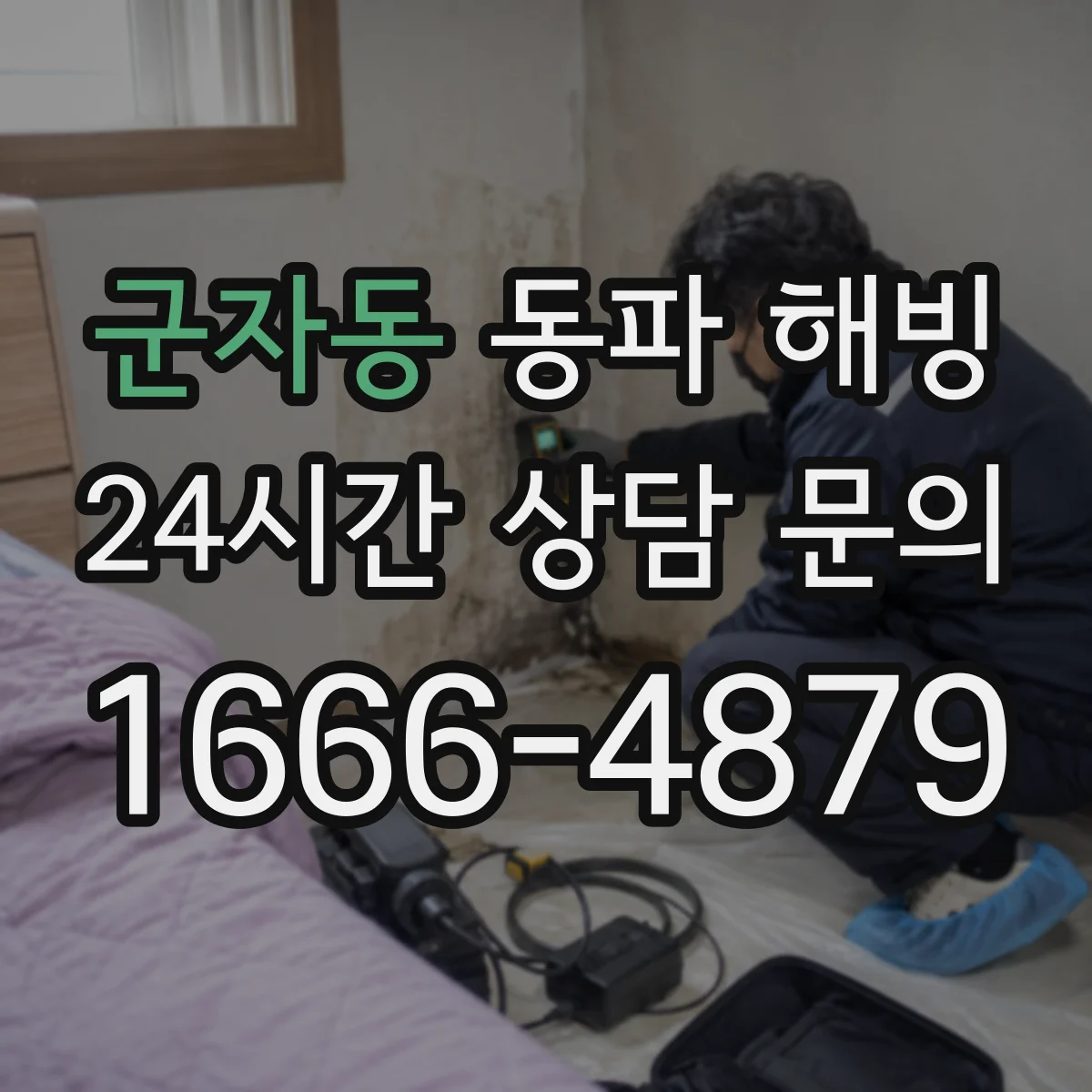 군자동 동파 해빙