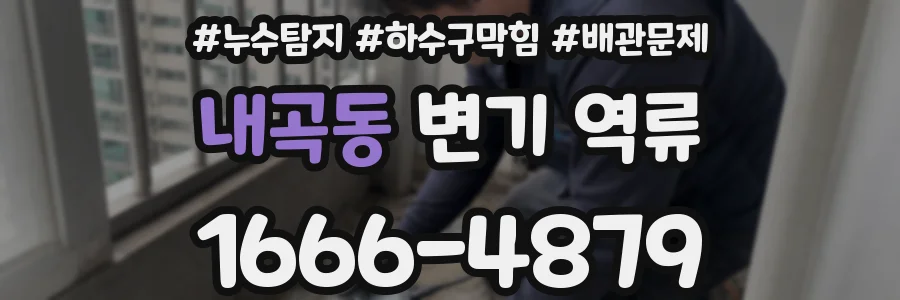 내곡동 변기 역류