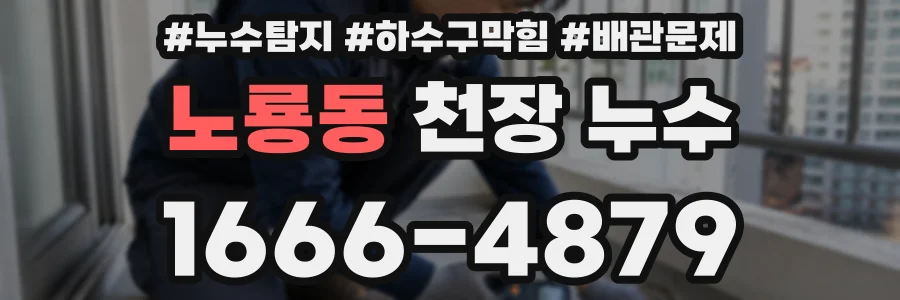 노룡동 천장 누수