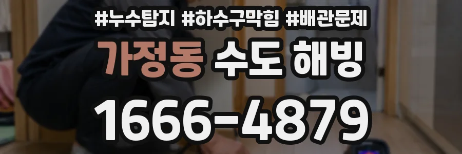 가정동 수도 해빙