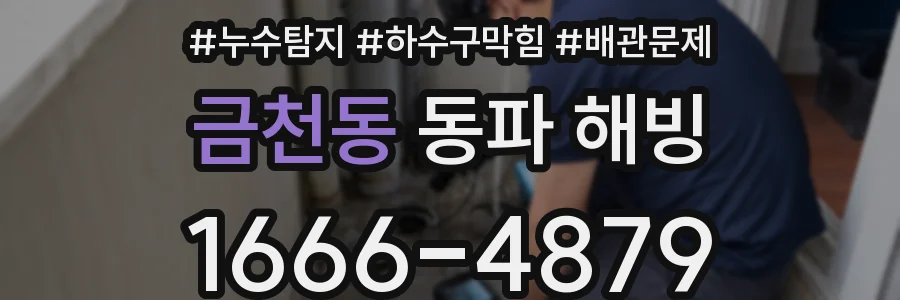 금천동 동파 해빙