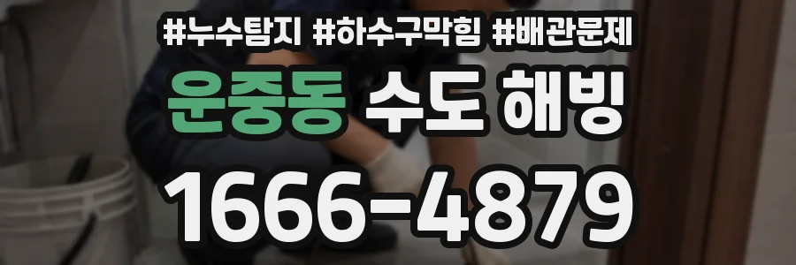 운중동 수도 해빙