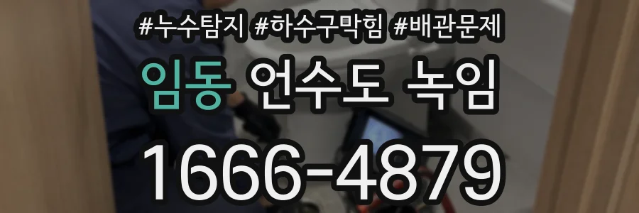 임동 언수도 녹임