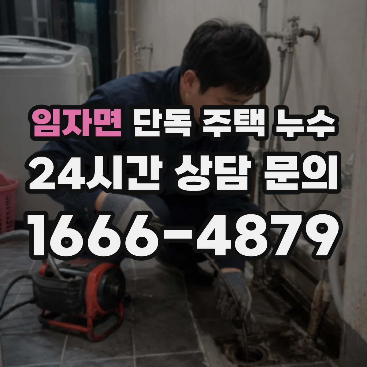 임자면 단독 주택 누수