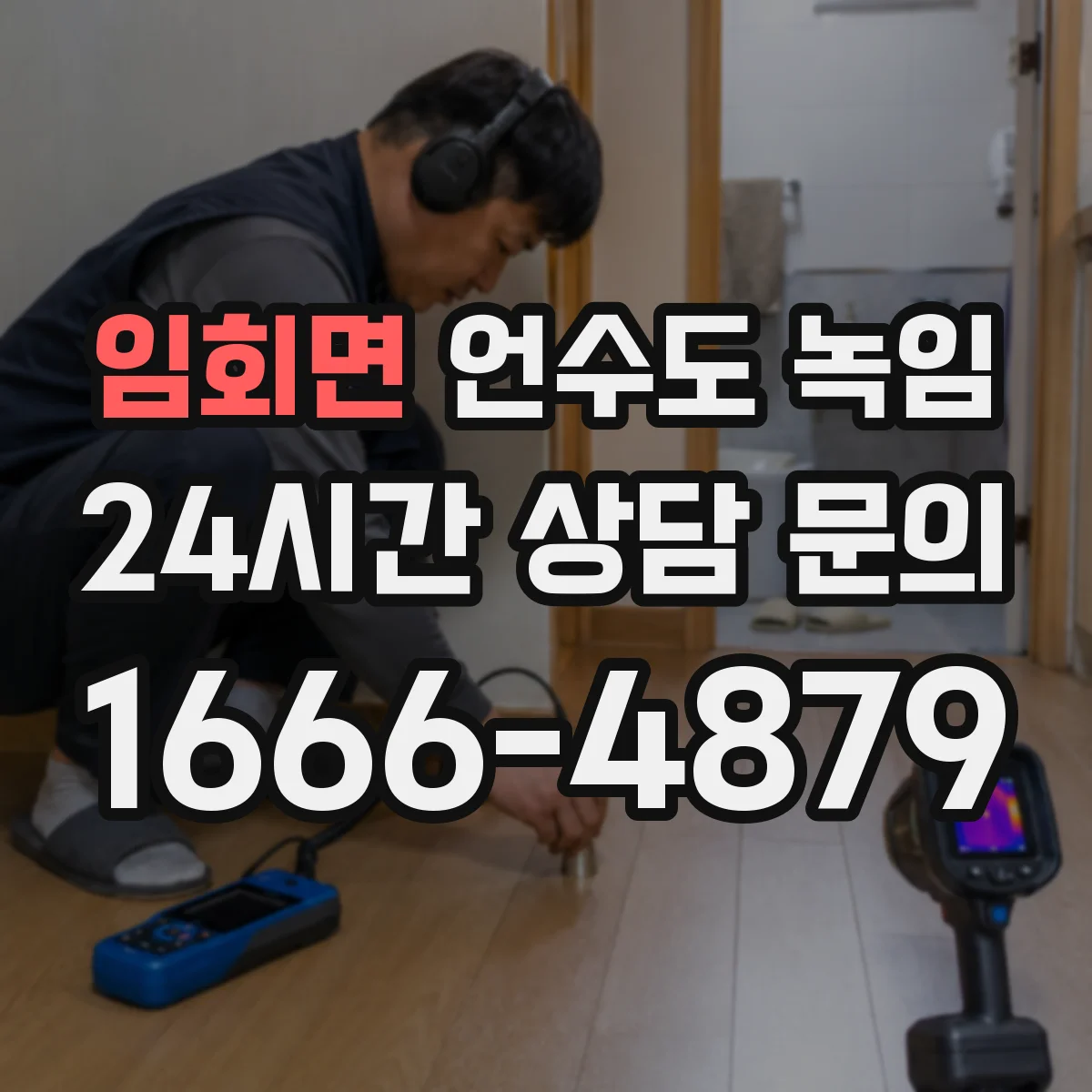 임회면 언수도 녹임