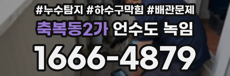 축복동2가 언수도 녹임