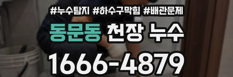 동문동 천장 누수