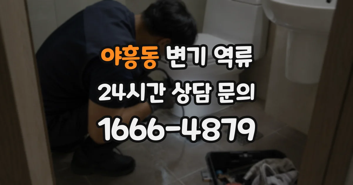 야흥동 변기 역류