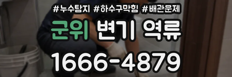 군위 변기 역류